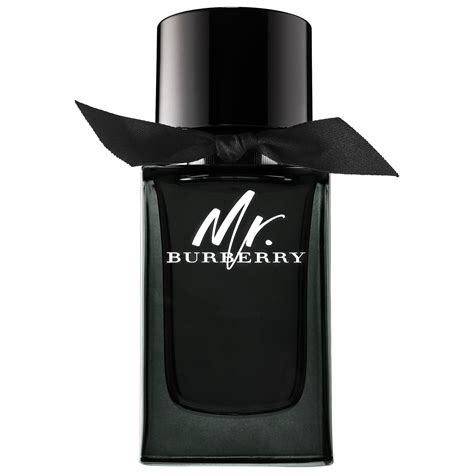 herren mr burberry parfum|Burberry eau de parfum 50ml.